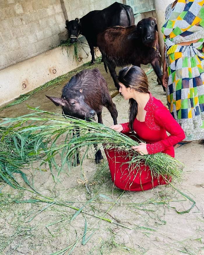 sreeleela_teluguuvox 10